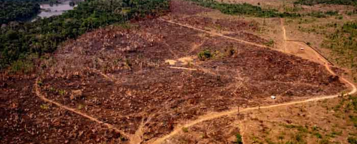 FILE: Handout picture released by the Communication Department of the State of Mato Grosso showing deforestation in the Amazon basin in the municipality of Colniza, Mato Grosso state, Brazil, in August 2019. Picture: AFP