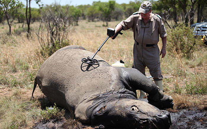 A total of 946 rhino have been poached since the beginning of 2013, the Department of Environmental Affairs confirmed on Thursday. Picture: EWN.