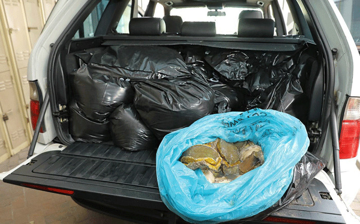 Police spotting the vehicle following a tip-off and they uncovered plastic bags filled with shucked abalone inside it. Picture: SAPS.