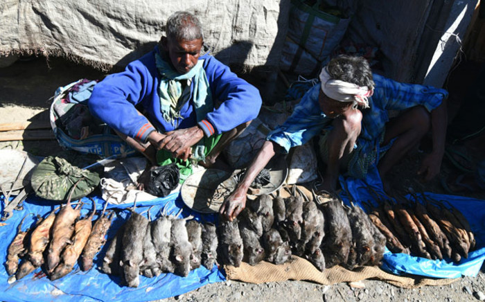 Indian Tea-tribe vendors sell cooked and uncooked rats at a weekly market in Kumarikata village along the Indo-Bhutan border, some 90km from Guwahati, on 23 December 2018. Picture: AFP