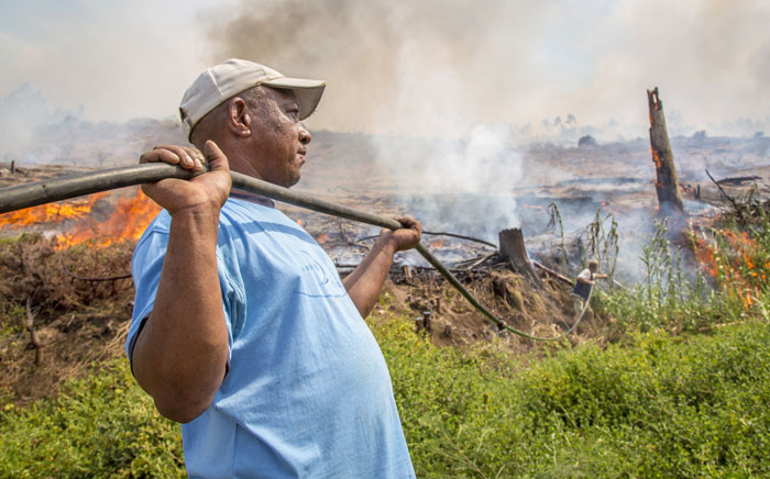 FILE: Volunteers from neighbouring farms helped farmworkers and firefighters to keep the flames at bay at the Muratie Wine Estate on 22 January 2016. Picture: Aletta Harrison/EWN