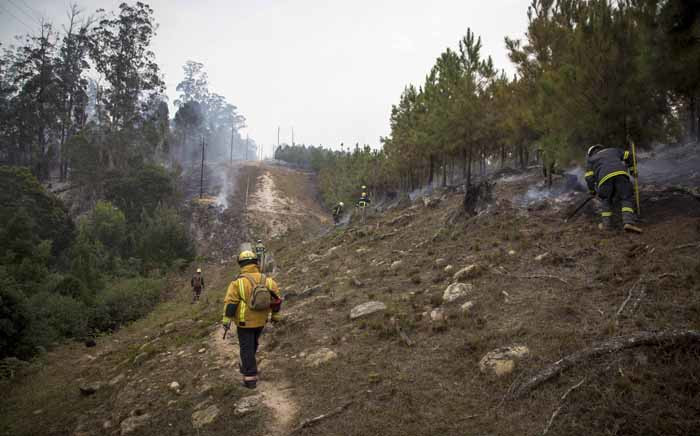 FILE: Volunteer ground crew in clean-up operations in one of Knysna’s plantation forests. Picture: Thomas Holder/EWN.
