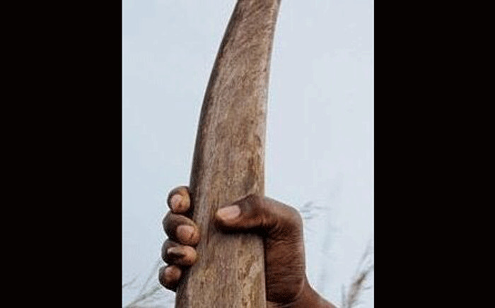 Generic rhino horn, rhino poaching. Picture: @SAPoliceService/Twitter.