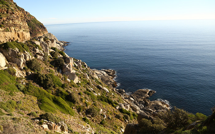 A view of the ocean from a lookout on Chapmans Peak Drive. Picture: Leah Rolando/Primedia