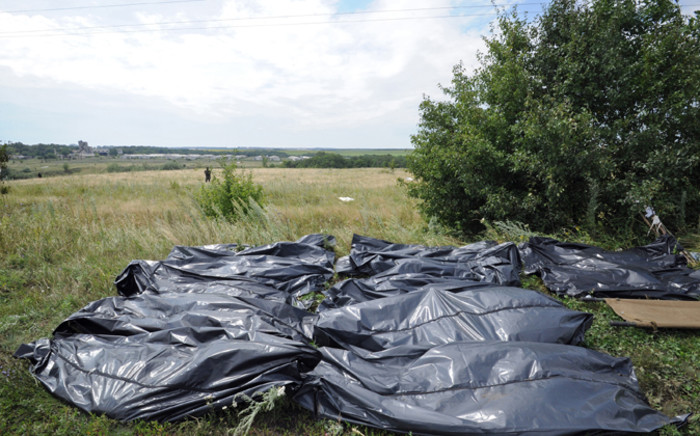 Bodies of victims wrapped in bags wait to be collected at the site of the crash of a Malaysia Airlines plane carrying 298 people from Amsterdam to Kuala Lumpur in Grabove, in rebel-held east Ukraine, on 19 July, 2014. 