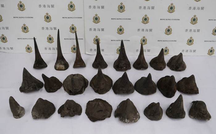 The rhino horns seized by Hong Kong Customs and Excise Department on February 14, 2019. Picture: AFP