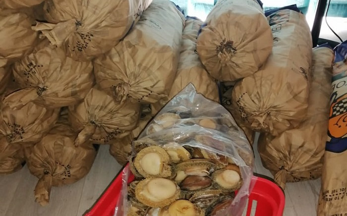 The Hawks together with Crime Intelligence and officials from the Department of Environmental Forestry and Fisheries on 16 November 2020 uncovered an illegal abalone facility at Kewridge in Cape Town and arrested two suspects for operating an illegal processing facility. Picture: @SAPoliceService/Twitter  




