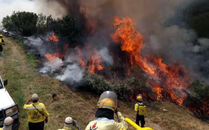 Working on Fire members battle a blaze in the Waboomskraal area and on slopes of Outeniqua Mountain above Witfontein Plantation on 29 October 2018. Picture: @wo_fire /Twitter