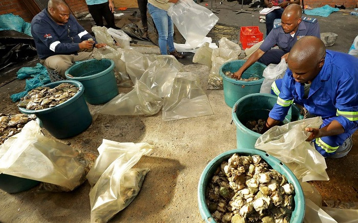 Three men were arrested following an abalone bust in Paarl East. Picture: SAPoliceService/Facebook