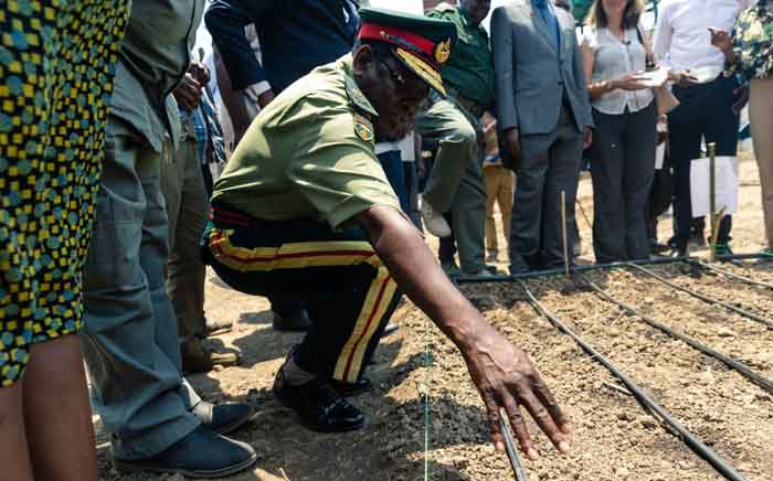 A senior army representative sowing some of the first industrial hemp crop in Zimbabwe at the Harare Central Prison in the capital, on 11 October 2019. Picture: AFP