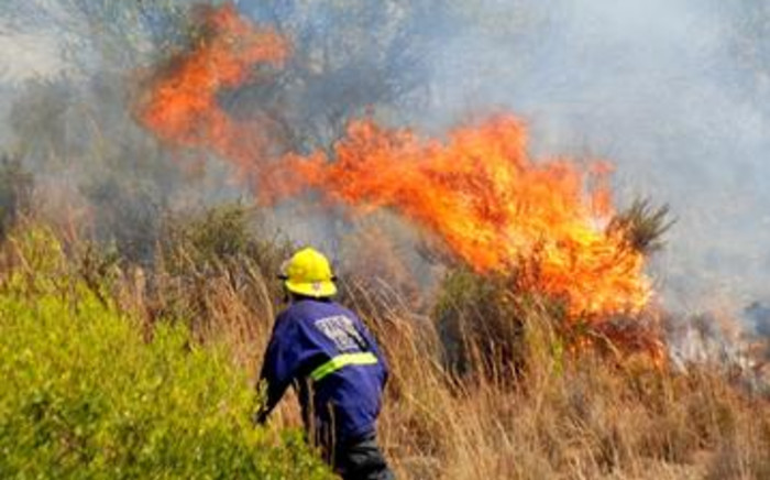 A firefighter is trying to extinguish a vegetation fire on top of Signal Hill. Picture: Jeff Ayliffe/Eyewitness News