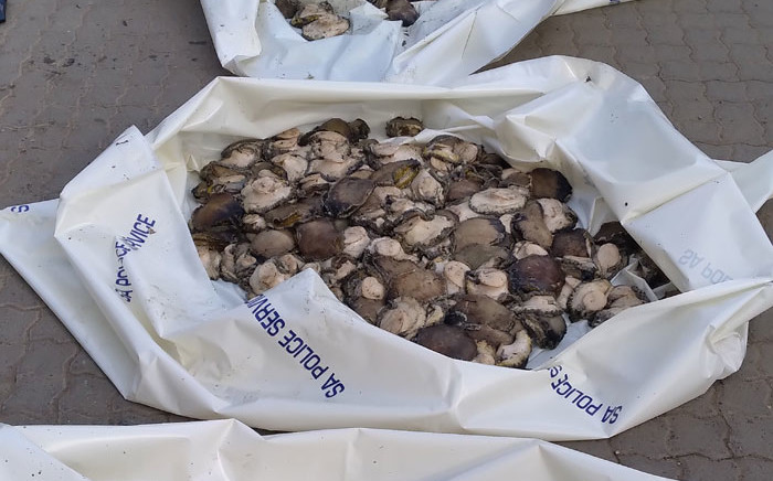 FILE: Abalone confiscated by the South African Police Service. Picture: SA Police Service/Facebook
