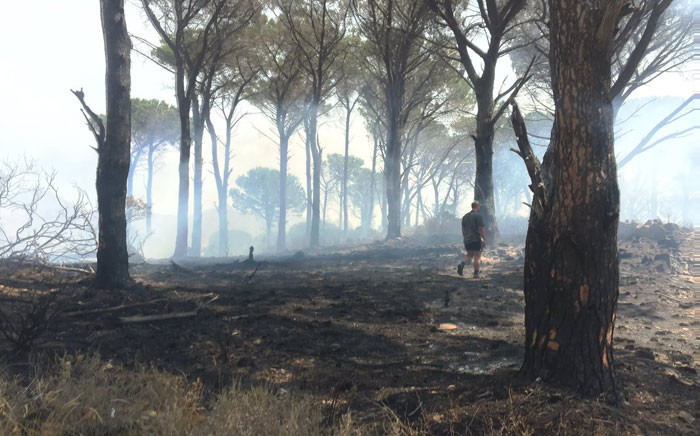  Firefighters and volunteers contained a blaze next to residences in the Schapenberg, Rome Glen area. Picture: Kevin Brandt/EWN 