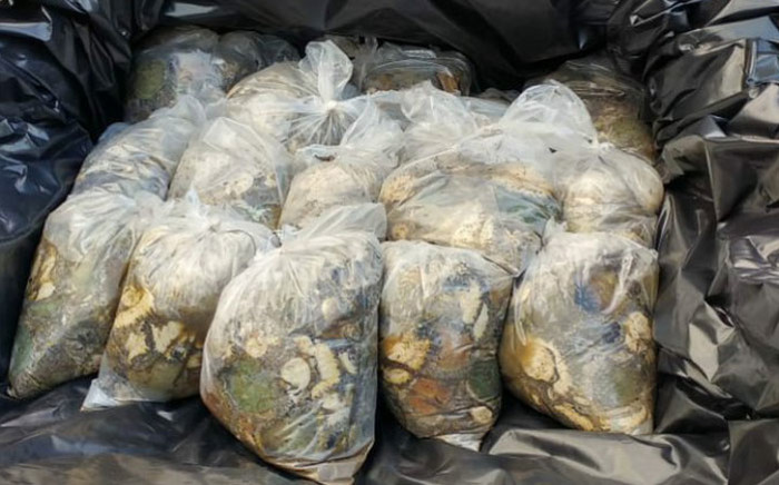 Abalone confiscated in the Strand, near Cape Town on 24 July 2018. Picture: @SAPoliceService/Twitter