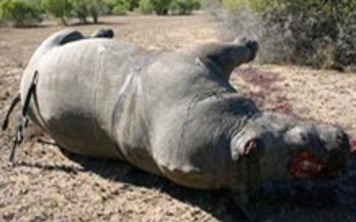 FILE: Finfoot Lake Reserve owner Miles Lappeman inspects a dead rhino. Picture: Taurai Maduna/EWN.