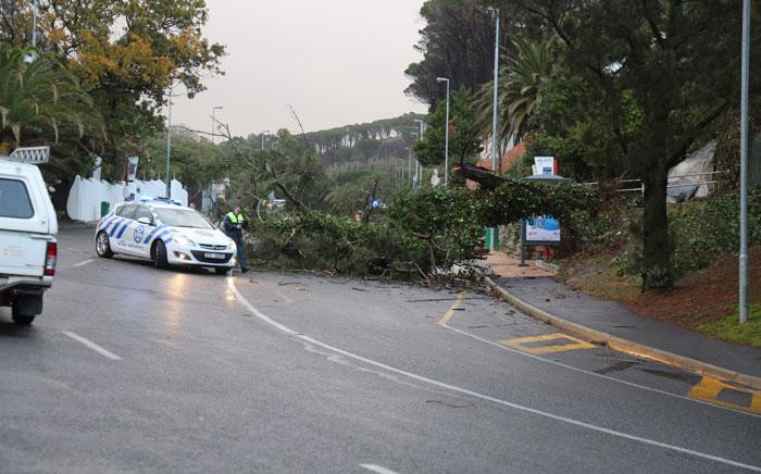 The power of the gale force winds has uprooted trees in Cape Town. Picture: Christa Eybers/EWN.