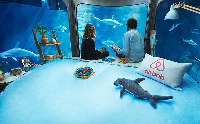 A view of a room in the Paris Aquarium. Picture: airbnb.com