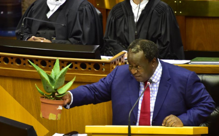 Bitter Aloe: Finance Minister Tito Mboweni says the country needs to withstand the elements. Picture: Twitter/@ParliamentofRSA