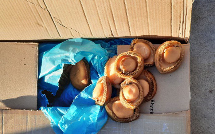 The Hawks arrested two men for the possession of dried abalone worth R9.9 million during an operation on 17 May 2021. Picture: @SAPoliceService/Twitter