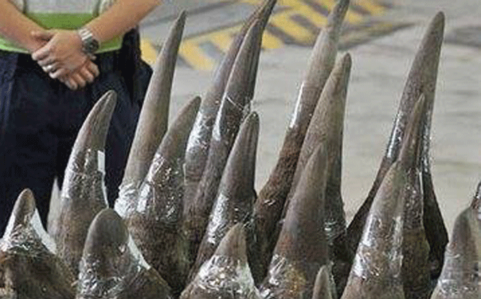 FILE: Rhino horn bust at the OR Tambo International Airport. Picture: @ArriveAlive.