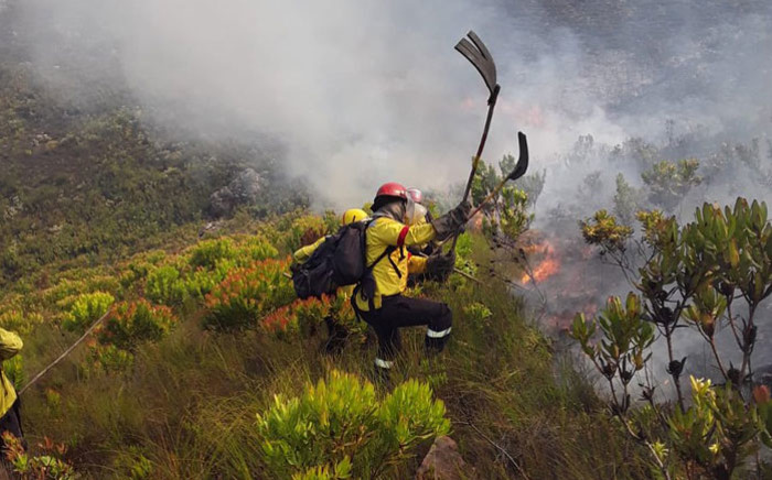 Working on Fire firefighters battle a fire near Franschhoek in the Western Cape on 19 February 2019. Picture: @wo_fire/Twitter