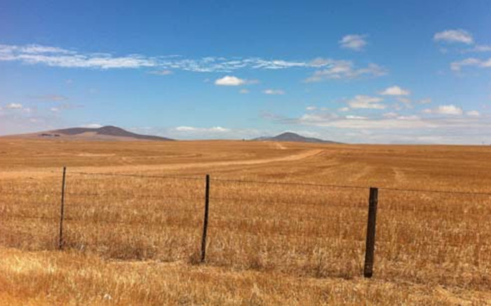 FILE: Grain SA says this may help farmers protect themselves against droughts in the future. Picture: EWN.