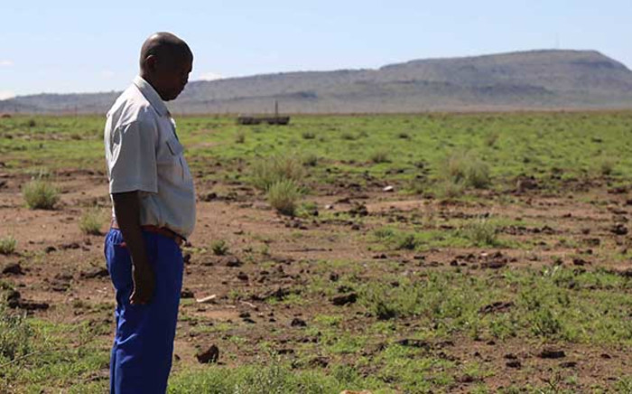 A farmer inspects his land in the Free State. Picture: Christa Eybers/EWN.