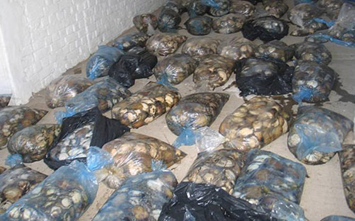 FILE: Equipment and various chemicals believed to be used to process the protected marine molluscs were recovered. Picture: Supplied. 