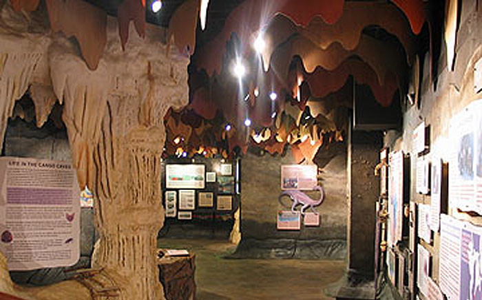 Cango Caves. Picture: cango-caves.co.za