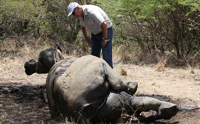 Finfoot Lake Reserve owner Miles Lappeman inspects a dead rhino. Picture: Taurai Maduna/EWN.