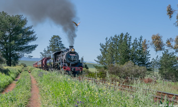 steam train