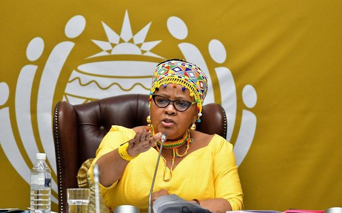 Dipuo Peters, Floyd Shivambu fail to evade sanctions in Parliament
