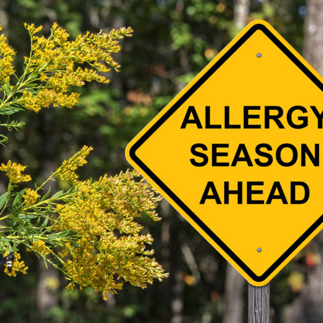 allergy-season-allergic-rhinitis-pollen-123rf