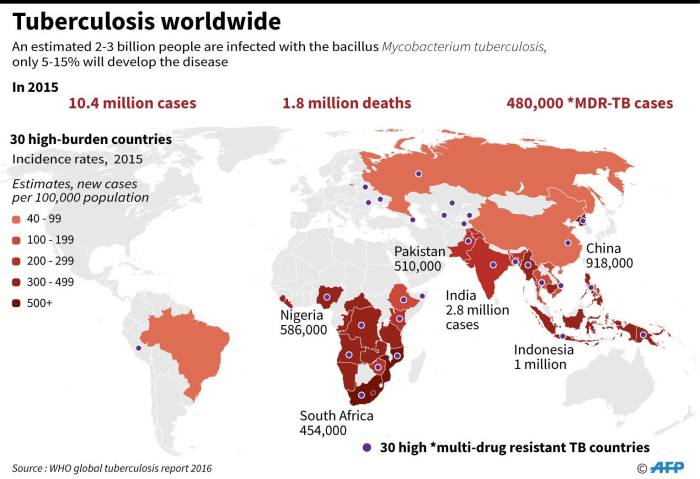 The Global Tuberculosis Situation