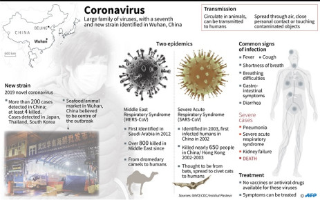 Factfile on the coronavirus family, which circulate in animals and can be transmitted to humans. A new strain of this virus has been identified in Wuhan, China. Picture: AFP