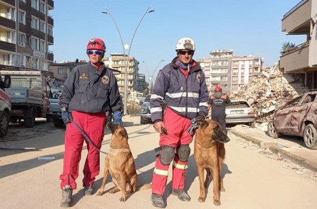 Perros rastreadores K9 del Servicio de Policía de SA en Türkiye.  Imagen: Don de los Dadores