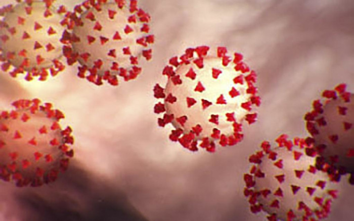 This handout illustration image obtained February 27, 2020 courtesy of the Centers for Disease Control and Prevention and created at the Centers for Disease Control and Prevention (CDC) shows the coronavirus, COVID-19.  Picture: AFP