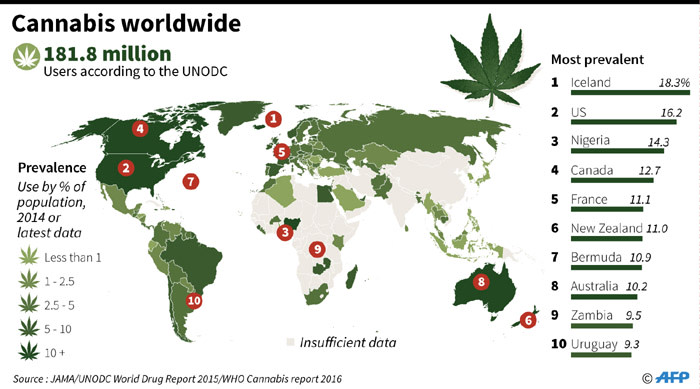 Graphic on estimated prevalence of marijuana use around the world.  