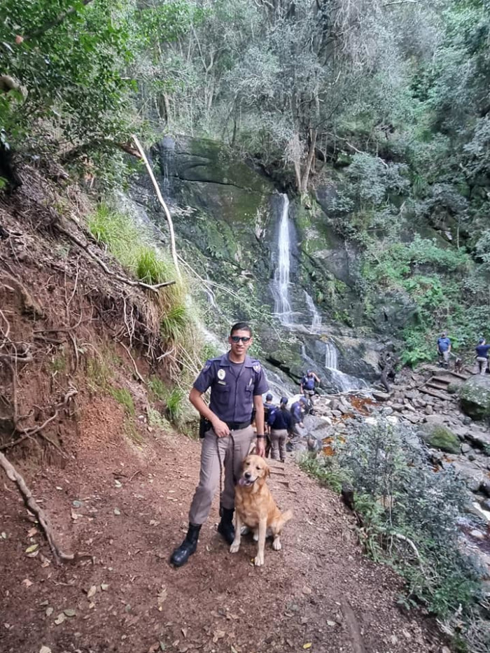 Image of Metro Police K9 unit on a richly deserved day out at Kirstenbosch posted by JP Smith on Facebook