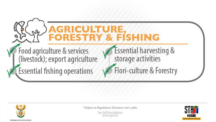 Under level 4 lockdown all agriculture, hunting, forestry, fishing and related services, including the export of agricultural products permitted. Picture: GCIS