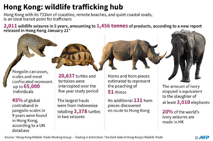 Data showing wildlife that being smuggled in Hong Kong. Picture: AFP