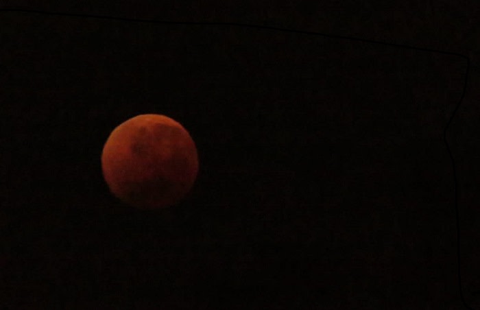 The blood moon from Fish Hoek. Picture: Penny Kachelhoffer