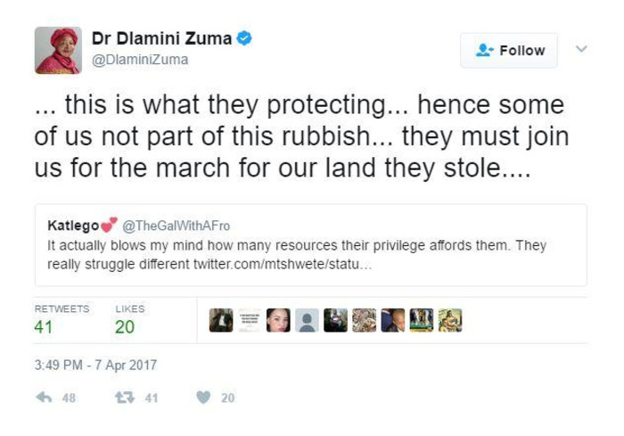 Nkosazana Dlamini-Zuma tweeted about Save SA in a Twitter conversation about the civil organisation's state of funding. She later deleted the tweet.