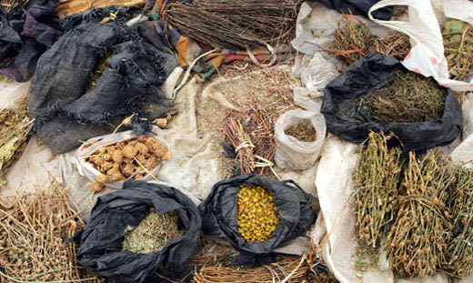 FILE: Traditional medicine. Picture: www.un.org.