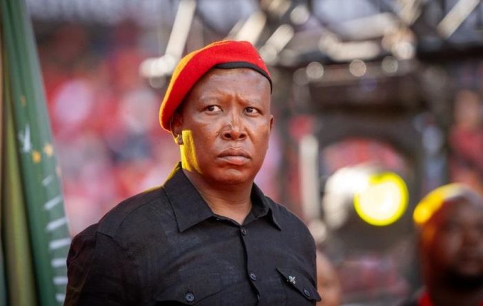 Julius Malema - Figure 1