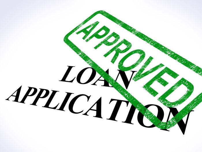 How Many Loans Have Been Granted In The Covid 19 Loan And Debt