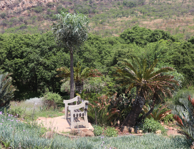 A relaxing spot at the JHB Walter Sisulu National Botanical Gardens