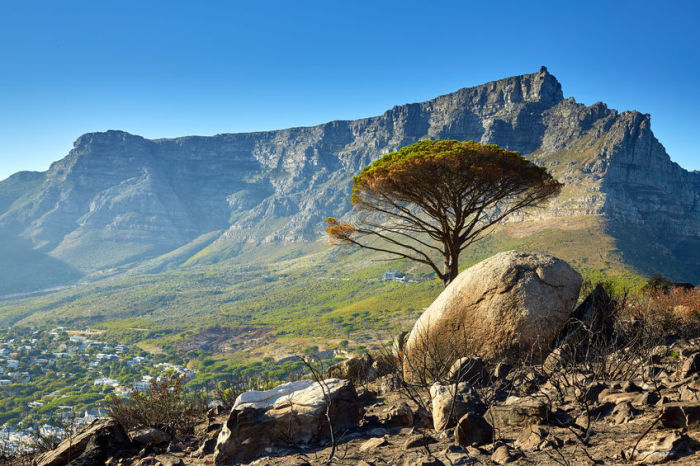 Table Mountain in Cape Town. Picture: © gischtlibu/123rf.com