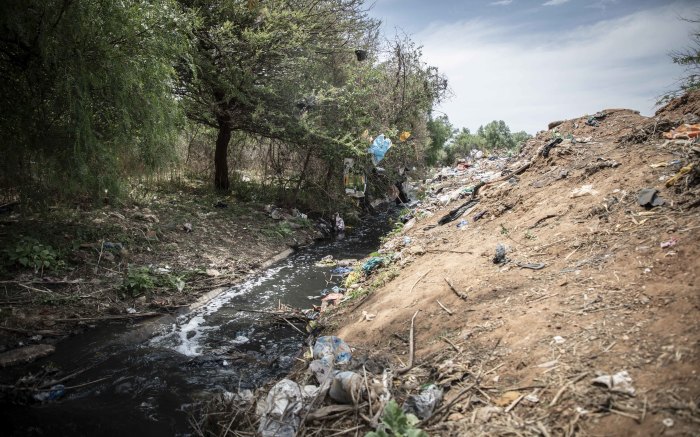 In one area of Danville is a stream polluted with sewage and waste. Children are known to play there.