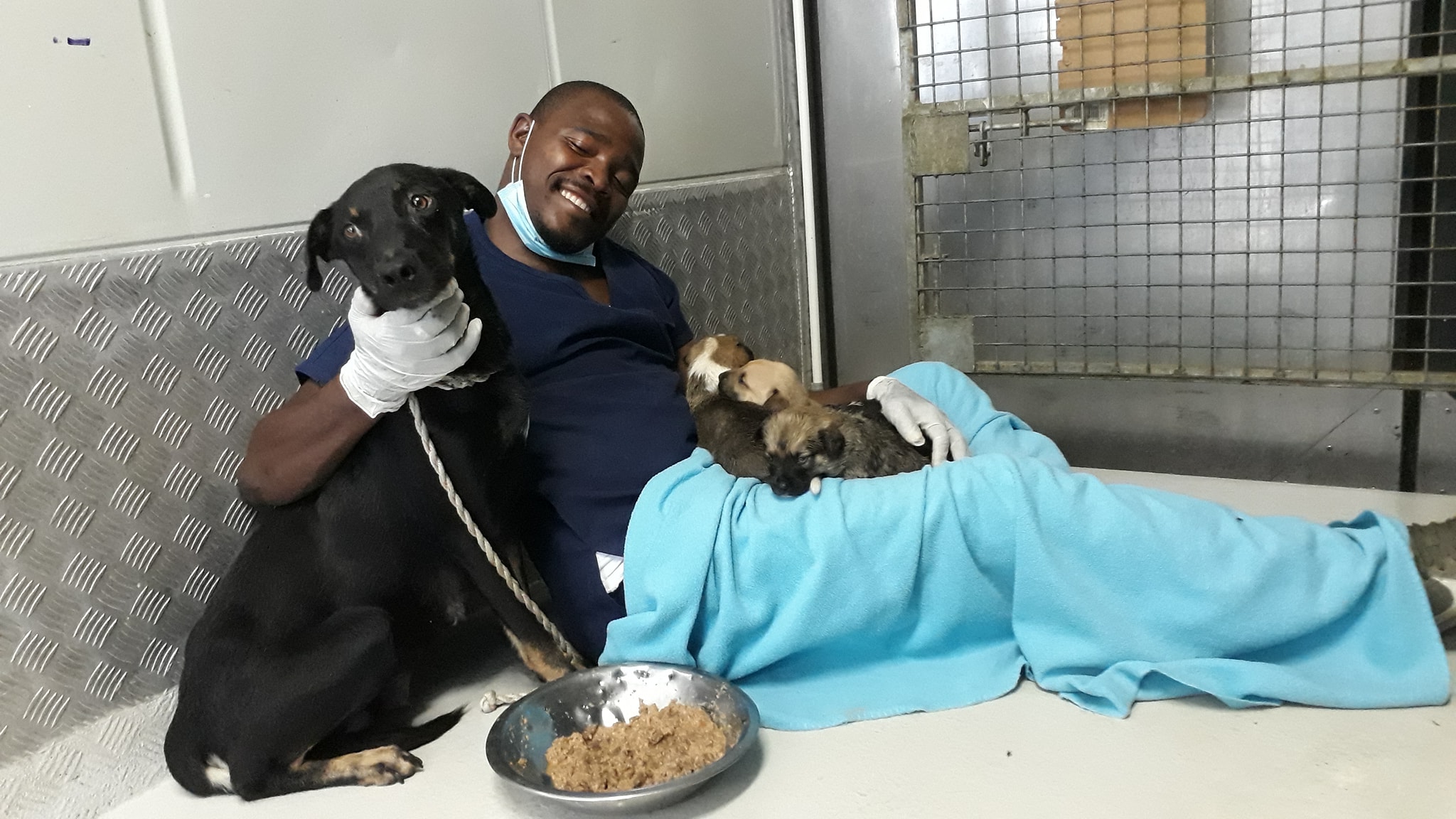 Staff at Khayelitsha animal clinic need urgent support after ...